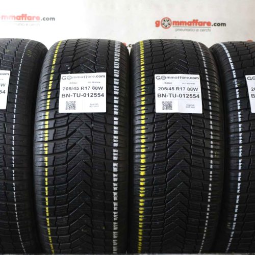 Wanli - ALL SEASON 4 Stagioni 205/45 R17 88W