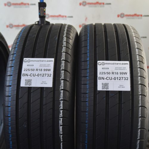 Goodyear - EFFICIENT GRIP PERFORMANCE 2 Estivi 225/50 R18 99W