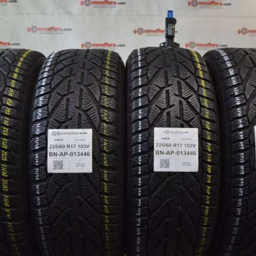 Riken - SUV SNOW Invernali 225/60 R17 103V