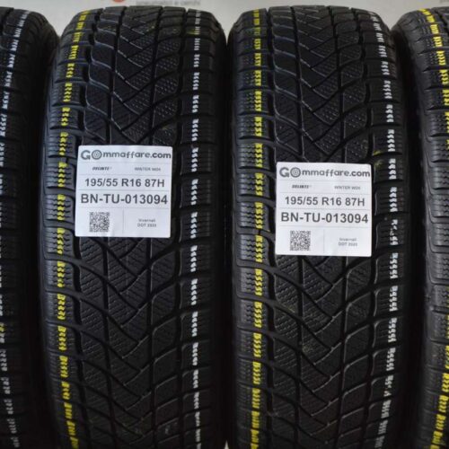 Delinte - WINTER WD6 Invernali 195/55 R16 87H