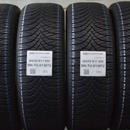 Westlake - ALLSEASON ELITE 4 Stagioni 205/55 R17 95V