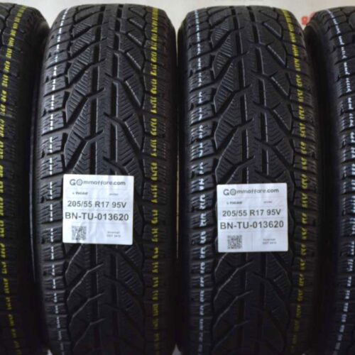 Tigar - winter Invernali 205/55 R17 95V