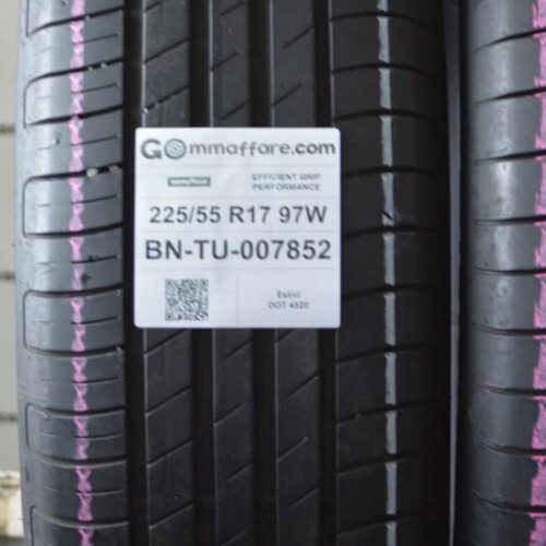 Goodyear - EFFICIENT GRIP PERFORMANCE Estivi 225/55 R17 97W