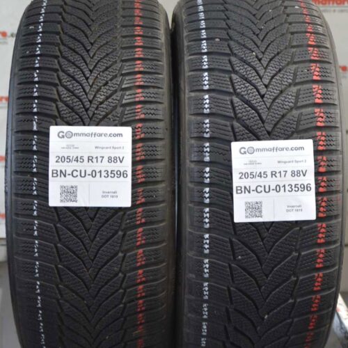 Nexen Tire - Winguard Sport 2 Invernali 205/45 R17 88V