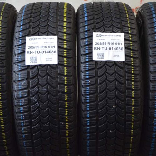 Dunlop - Dunlop WINTER TRAIL Invernali 205/55 R16 91H